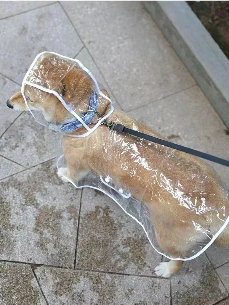 Dog Waterproof Raincoat