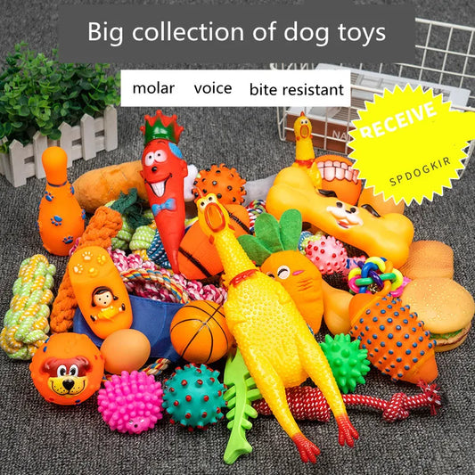 Dog Toys